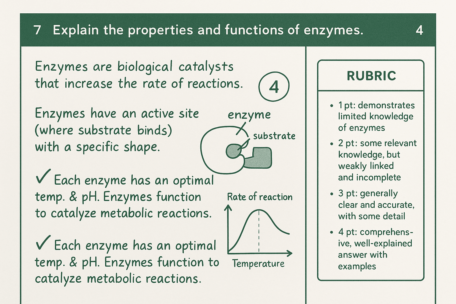 AP Biology FRQ: How to Score Full Marks on Every Question Type